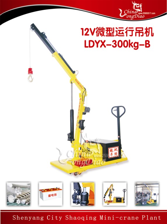 ΢еLDYX-300KG-B 
