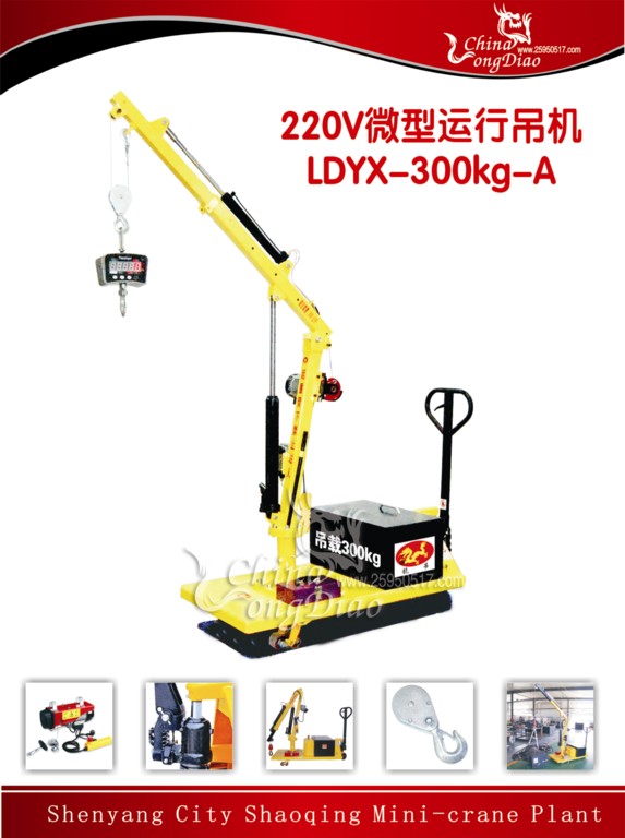 ΢еLDYX-300KG-A  