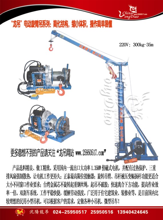 2009LDSW-300kg-35M˻