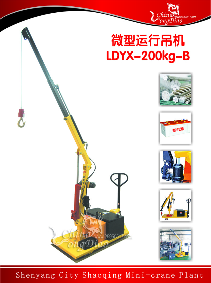΢еLDYX-200KG Ӹ
